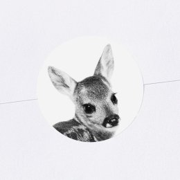 Scandi Fawn